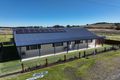 Property photo of 119 Moore Street Emmaville NSW 2371