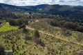 Property photo of LOT 4 Paddys Lane Franklin TAS 7113