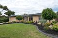 Property photo of 56 Spruce Avenue Warradale SA 5046
