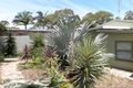 Property photo of 10 Macdonald Street Dicky Beach QLD 4551