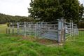 Property photo of 34 Torquay Road Latrobe TAS 7307