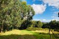 Property photo of 606 Woomera Creek Road Toora North VIC 3962