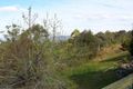 Property photo of 117 Guanaba Road Tamborine Mountain QLD 4272