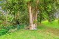 Property photo of 9A Uplands Drive Parkwood QLD 4214