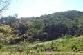 Property photo of 5671 Tweed Valley Way Crabbes Creek NSW 2483