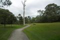 Property photo of 236 Hardwood Drive Mount Cotton QLD 4165