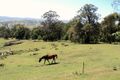 Property photo of 541 Hawks Head Road Brogo NSW 2550