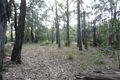 Property photo of 1131 Congo Road Meringo NSW 2537
