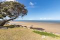 Property photo of 55 Biggs Avenue Beachmere QLD 4510