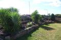 Property photo of 11 Cameron Street Wyreema QLD 4352