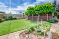 Property photo of 58 Hensley Street Pinnaroo SA 5304