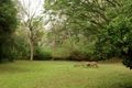 Property photo of 82 Araucaria Creek Road Brooloo QLD 4570