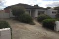 Property photo of 3 Pine Street Edwardstown SA 5039