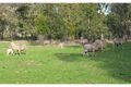 Property photo of 532 Clenton Road Gidgegannup WA 6083