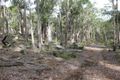 Property photo of 51 Jarrah Road Manjimup WA 6258