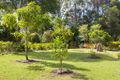 Property photo of 105 Forest Acres Drive Lake Macdonald QLD 4563