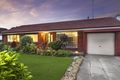 Property photo of 19 Gornall Avenue Earlwood NSW 2206