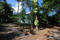 Property photo of 2571 Shute Harbour Road Jubilee Pocket QLD 4802