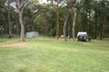 Property photo of 24 South Street Medowie NSW 2318