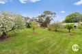 Property photo of 179 Woolleys Road Bittern VIC 3918