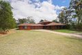 Property photo of 15 Healy Court Ormeau QLD 4208