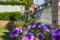 Property photo of 50 Gungurru Crescent Kuraby QLD 4112