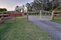 Property photo of 81 Matthew Mitchell Drive Redbank NSW 2446