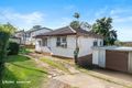 Property photo of 30 Oliphant Street Mount Pritchard NSW 2170