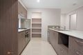Property photo of 60 Holman Street Mango Hill QLD 4509