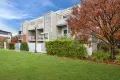 Property photo of 55/75 Elizabeth Jolley Crescent Franklin ACT 2913