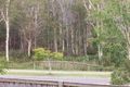 Property photo of 29 Jabiru Drive Mango Hill QLD 4509