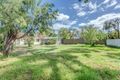 Property photo of 20 Pine Avenue Novar Gardens SA 5040