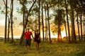 Property photo of 20 Haslewood Crescent Meridan Plains QLD 4551