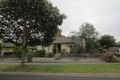 Property photo of 4 Binalong Avenue Chadstone VIC 3148