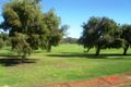 Property photo of 65 Wallington Road Balga WA 6061