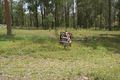 Property photo of 60-62 Melbourne Street Karalee QLD 4306