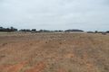 Property photo of 20 Anniversary Drive Robinvale VIC 3549