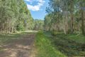 Property photo of 50 Silvertop Road Doonan QLD 4562