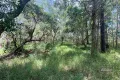 Property photo of LOT 140 Daniel Road Bauple QLD 4650