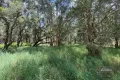 Property photo of LOT 140 Daniel Road Bauple QLD 4650