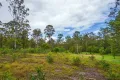 Property photo of 769 Neerdie Road Glenwood QLD 4570