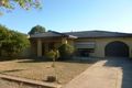 Property photo of 153 Ashbrook Avenue Trinity Gardens SA 5068