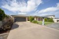 Property photo of 47 Peterson Circuit Risdon Park SA 5540