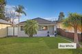 Property photo of 44 Brixton Road Lidcombe NSW 2141