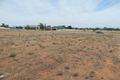 Property photo of 20 Anniversary Drive Robinvale VIC 3549