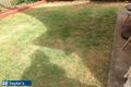 Property photo of 7 Tulipwood Court Greenwith SA 5125