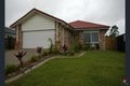 Property photo of 55 Benjamina Drive Redbank Plains QLD 4301