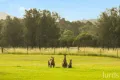 Property photo of 1146 Leggetts Drive Mount Vincent NSW 2323
