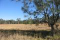 Property photo of 9 Lagoona Drive Tuggerah NSW 2259