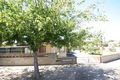 Property photo of 53 Conmurra Avenue Edwardstown SA 5039